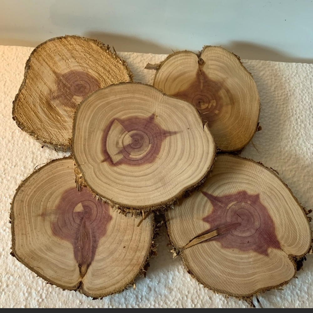 5 Cedar Coasters
